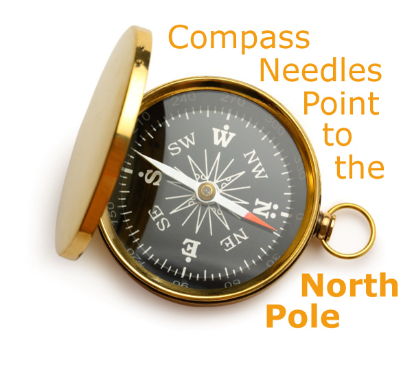 where does a compass needle point