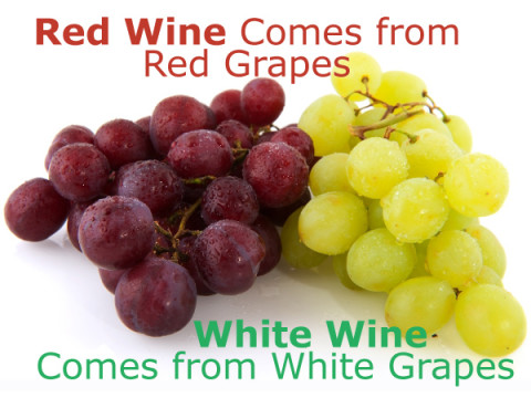 Does Red Wine Come from Red Grapes, and White Wine Come from White ...