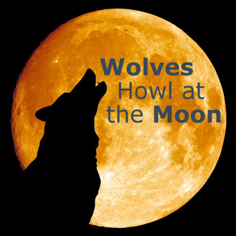 Do Wolves Howl at the Moon? - Don't Believe That!