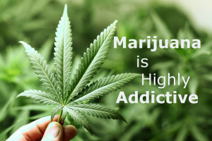 Is Marijuana Addictive? - Don't Believe That!